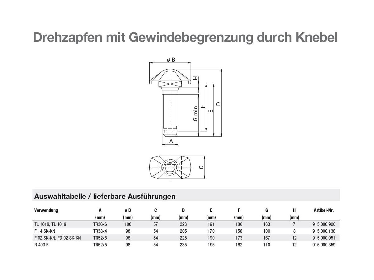 Drehzapfen (Tr52Ri L238, R403FL,FR)